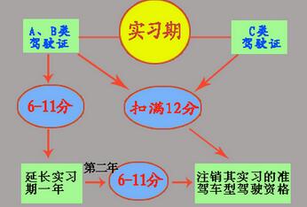 驾照实习期需要注意什么,第1张