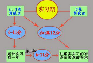 新手实习期需要注意什么,第1张