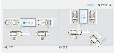 新手上路停车技巧分析,第1张