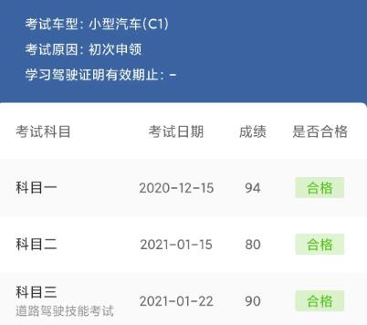 驾照考试成绩查询12123,驾照考试成绩查询12123,第1张