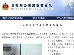 甘孜交警网12123,甘孜交警信息网,第1张